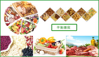 餐飲供應(yīng)鏈一體化服務(wù) 從農(nóng)場(chǎng)到餐桌，以佛山市好來客餐飲管理為例